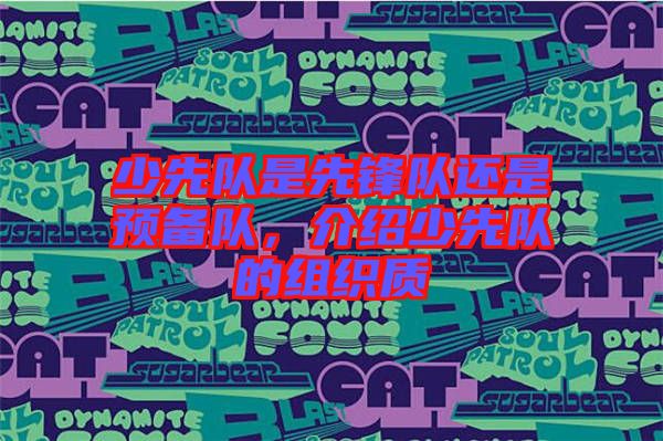 少先隊(duì)是先鋒隊(duì)還是預(yù)備隊(duì)，介紹少先隊(duì)的組織質(zhì)