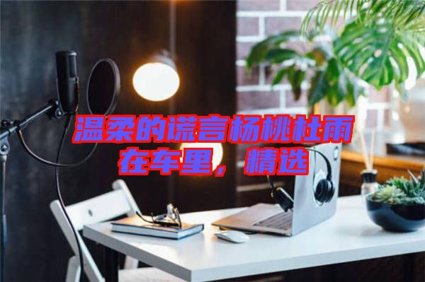 溫柔的謊言楊桃杜雨在車里，精選