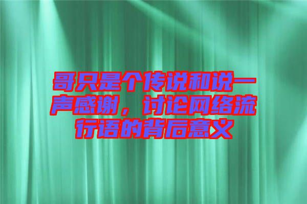 哥只是個傳說和說一聲感謝，討論網(wǎng)絡流行語的背后意義