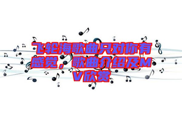 飛輪海歌曲只對你有感覺，歌曲介紹及MV欣賞