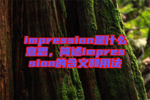 impression是什么意思，簡述impression的含義和用法