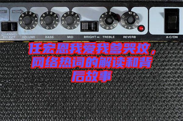 任宏恩我愛我爹哭墳，網(wǎng)絡熱詞的解讀和背后故事