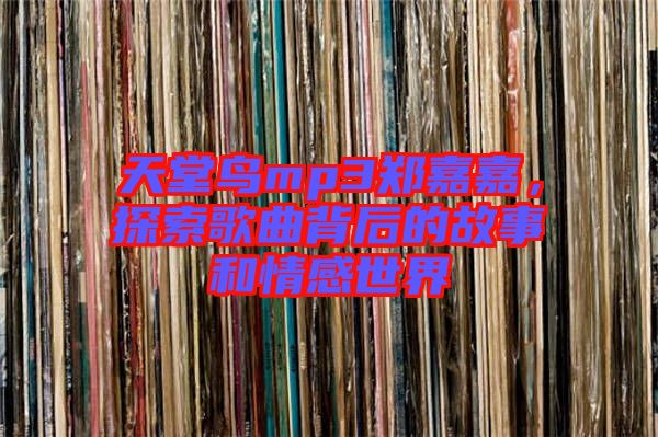天堂鳥(niǎo)mp3鄭嘉嘉，探索歌曲背后的故事和情感世界