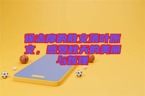 徐志摩的散文落葉原文，感受秋天的美麗與哲理