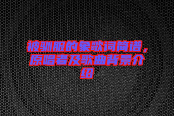 被馴服的象歌詞簡(jiǎn)譜，原唱者及歌曲背景介紹