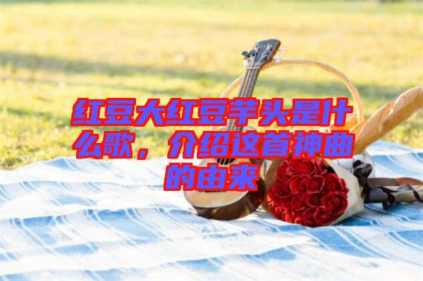 紅豆大紅豆芋頭是什么歌，介紹這首神曲的由來