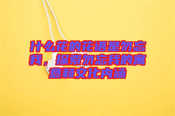 什么花的花語是勿忘我，探索勿忘我的寓意和文化內(nèi)涵
