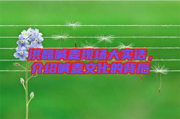 洪磊喊麥現(xiàn)場大實(shí)話，介紹喊麥文化的背后