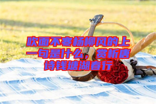 吹面不寒楊柳風(fēng)的上一句是什么，賞析唐詩錢塘湖春行