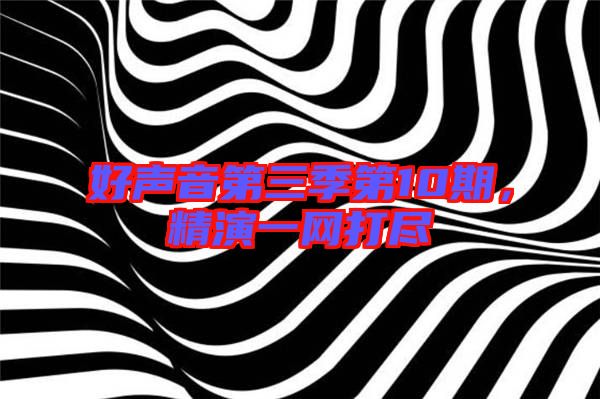 好聲音第三季第10期，精演一網(wǎng)打盡