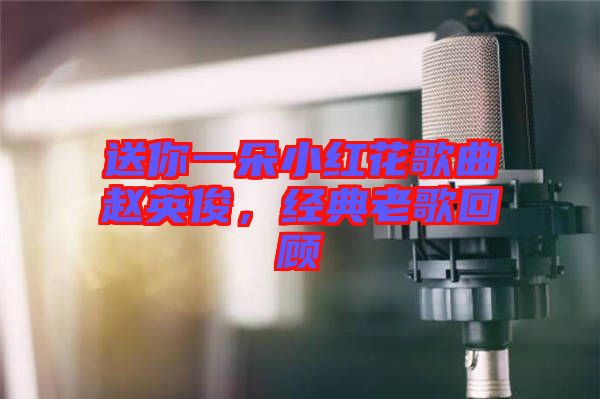 送你一朵小紅花歌曲趙英俊，經(jīng)典老歌回顧