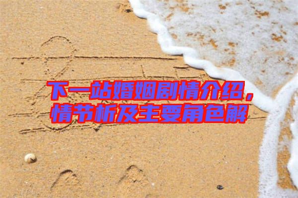 下一站婚姻劇情介紹，情節(jié)析及主要角色解