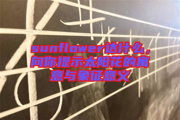 sunflower達(dá)什么，向你提示太陽花的寓意與象征意義
