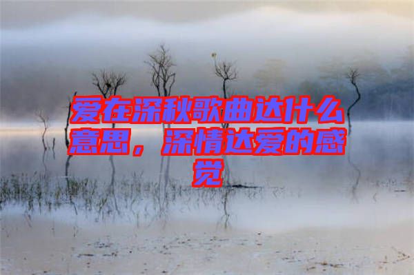 愛在深秋歌曲達什么意思，深情達愛的感覺