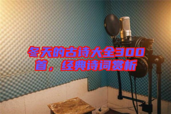 冬天的古詩大全300首，經典詩詞賞析