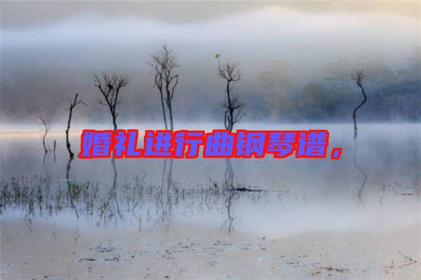 婚禮進(jìn)行曲鋼琴譜，