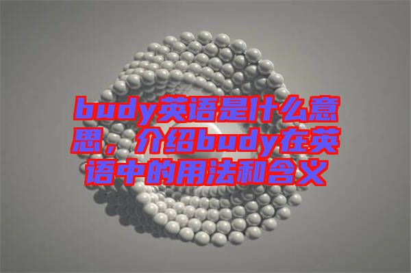budy英語(yǔ)是什么意思，介紹budy在英語(yǔ)中的用法和含義