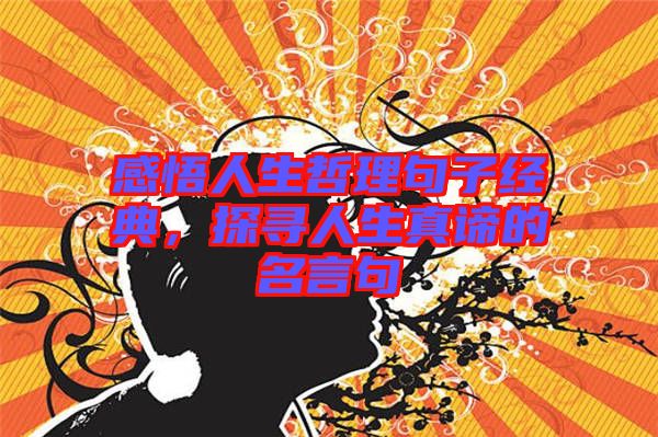 感悟人生哲理句子經(jīng)典，探尋人生真諦的名言句