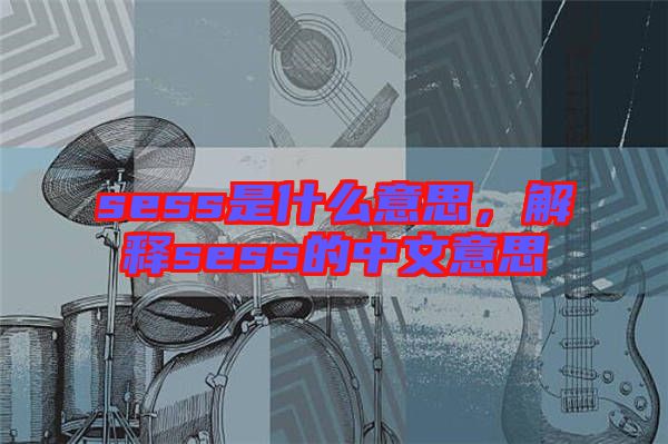 sess是什么意思，解釋sess的中文意思