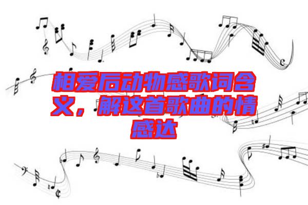 相愛后動物感歌詞含義，解這首歌曲的情感達(dá)
