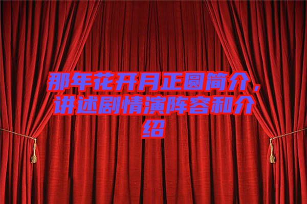 那年花開月正圓簡介，講述劇情演陣容和介紹