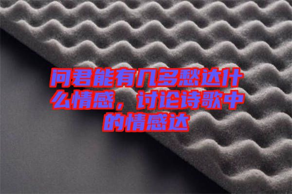 問君能有幾多愁達什么情感，討論詩歌中的情感達