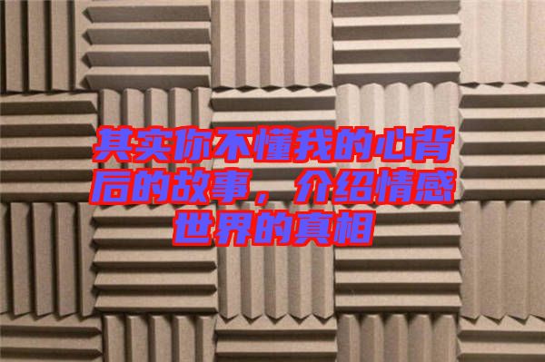 其實(shí)你不懂我的心背后的故事，介紹情感世界的真相