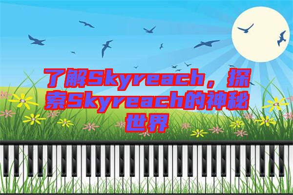 了解Skyreach，探索Skyreach的神秘世界