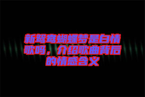 新鴛鴦蝴蝶夢是白情歌嗎，介紹歌曲背后的情感含義