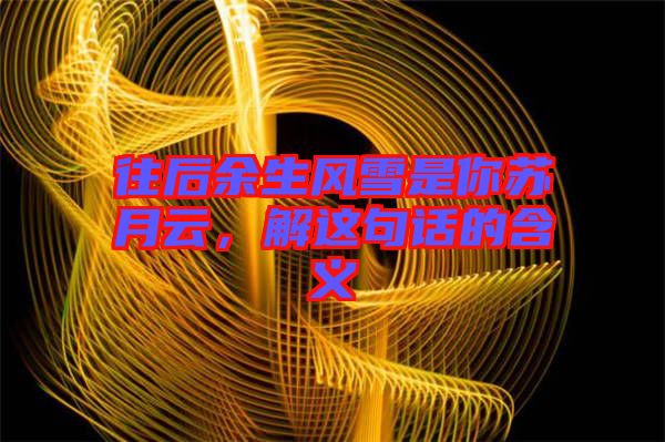 往后余生風(fēng)雪是你蘇月云，解這句話的含義