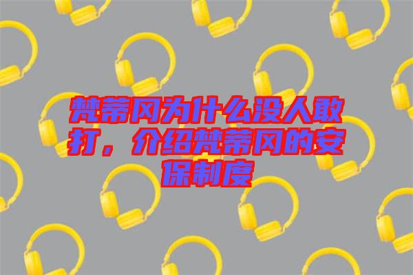 梵蒂岡為什么沒人敢打，介紹梵蒂岡的安保制度
