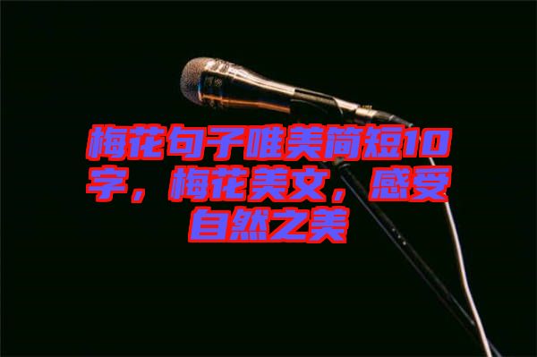 梅花句子唯美簡短10字，梅花美文，感受自然之美