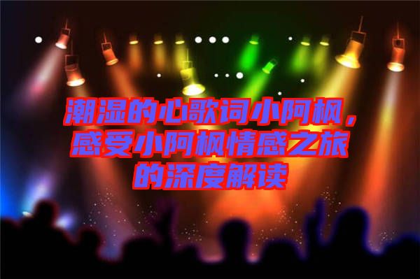 潮濕的心歌詞小阿楓，感受小阿楓情感之旅的深度解讀