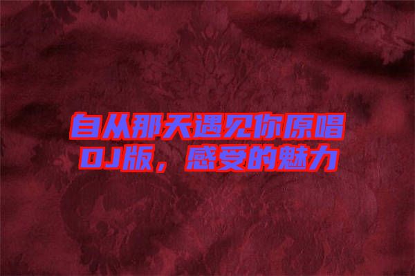自從那天遇見你原唱DJ版，感受的魅力