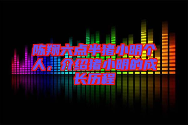 陳翔六點半豬小明個人，介紹豬小明的成長歷程