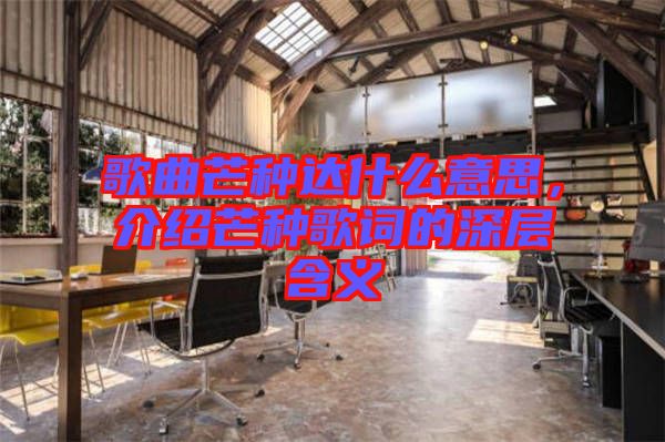 歌曲芒種達什么意思，介紹芒種歌詞的深層含義