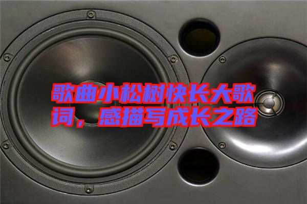 歌曲小松樹快長大歌詞，感描寫成長之路