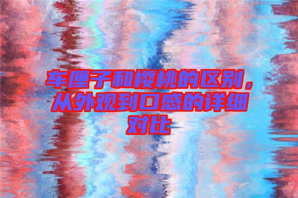 車?yán)遄雍蜋烟业膮^(qū)別，從外觀到口感的詳細(xì)對比