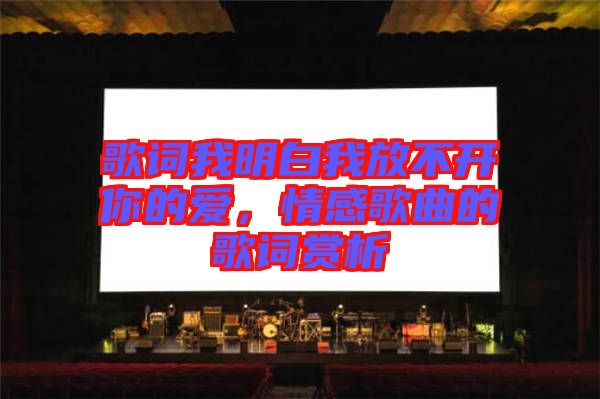 歌詞我明白我放不開(kāi)你的愛(ài)，情感歌曲的歌詞賞析