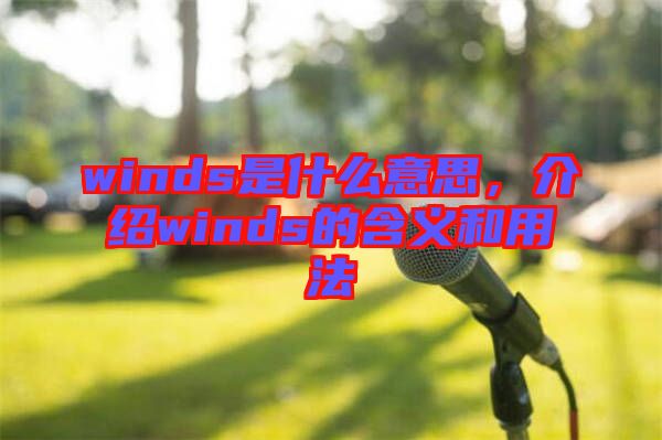 winds是什么意思，介紹winds的含義和用法