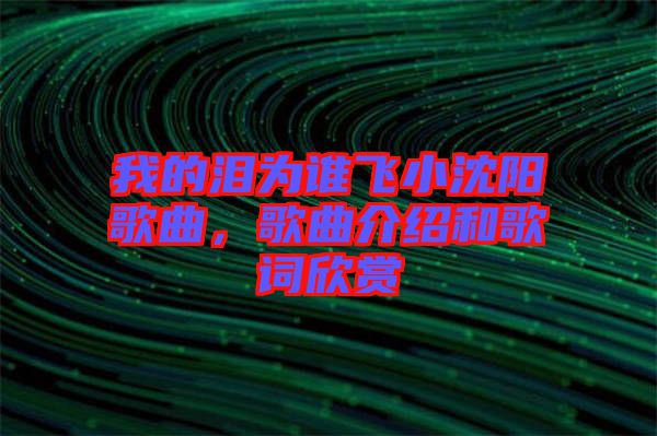 我的淚為誰飛小沈陽歌曲，歌曲介紹和歌詞欣賞