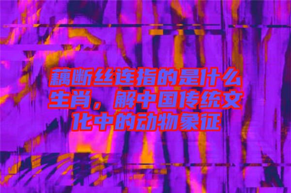 藕斷絲連指的是什么生肖，解中國傳統(tǒng)文化中的動物象征