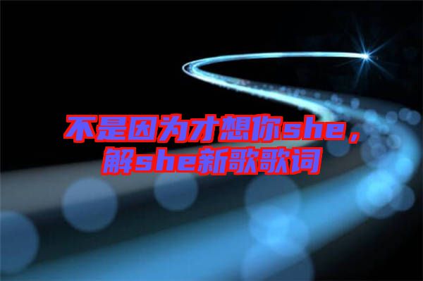 不是因為才想你she，解she新歌歌詞