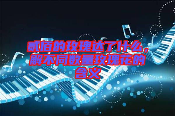 貳佰的玫瑰達(dá)了什么，解不同數(shù)量玫瑰花的含義