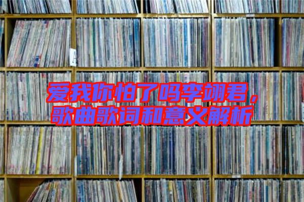 愛我你怕了嗎李翊君，歌曲歌詞和意義解析