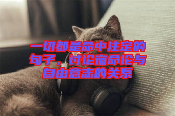 一切都是命中注定的句子，討論宿命論與自由意志的關(guān)系