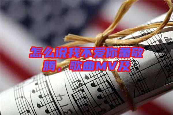 怎么說我不愛你蕭敬騰，歌曲MV及