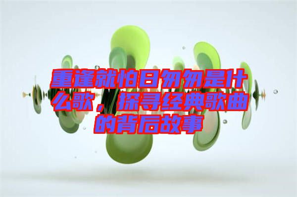 重逢就怕日匆匆是什么歌，探尋經(jīng)典歌曲的背后故事