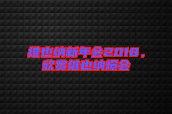 維也納新年會2018，欣賞維也納爆會