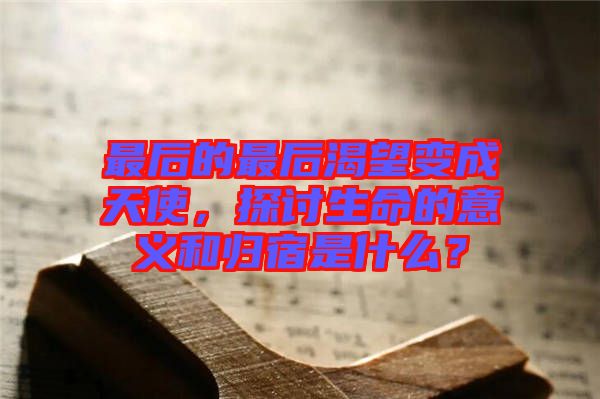 最后的最后渴望變成天使，探討生命的意義和歸宿是什么？